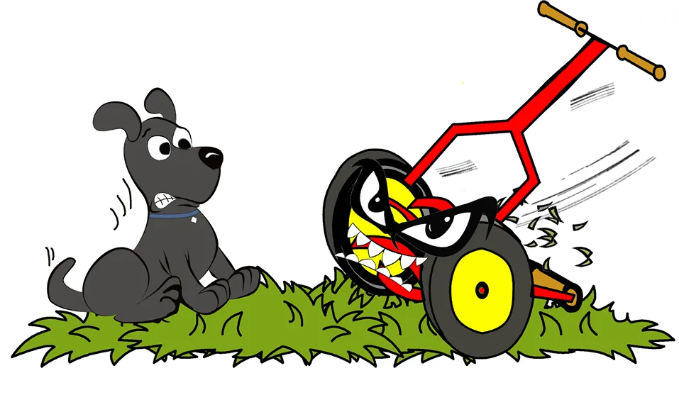 Expert yard maintenance in Casper, WY by Ruff N Tuff Lawns