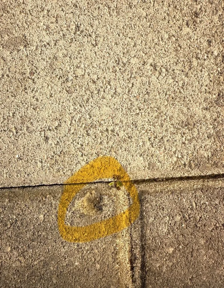 Affordable outdoor landscaping for beautiful yards in Irvine, CA by Ruff n Tuff Turf