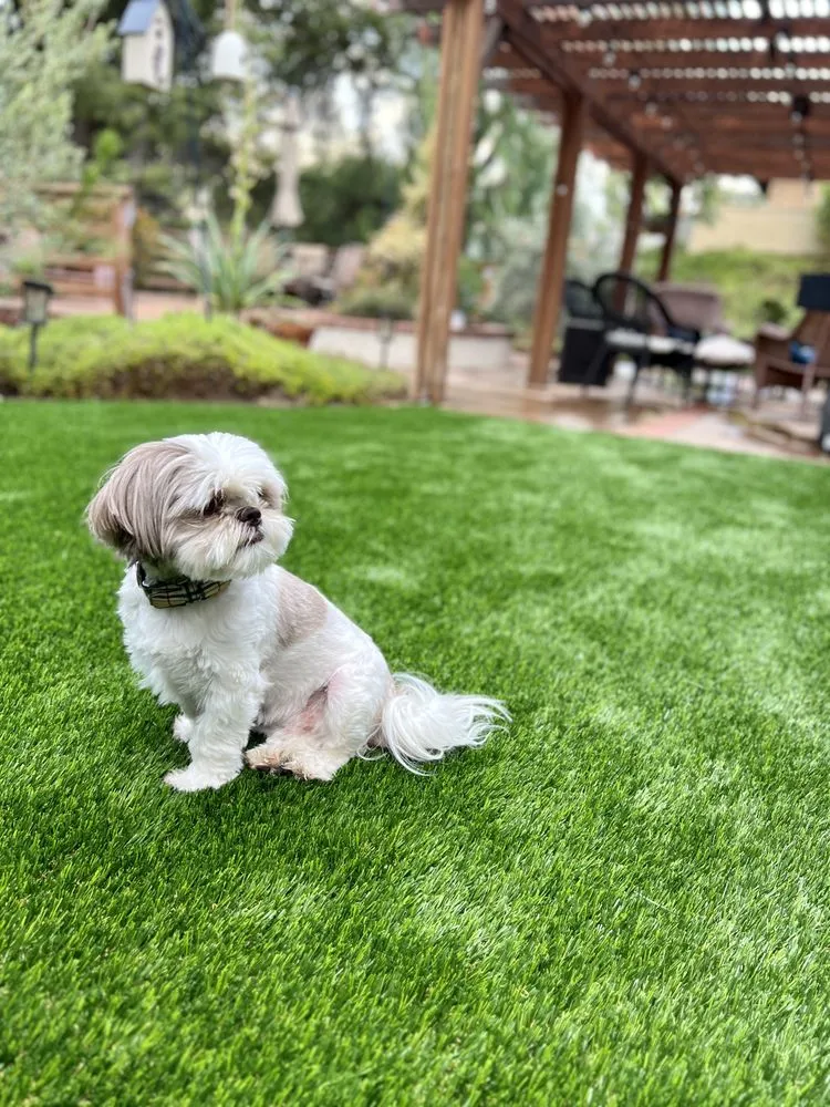 Trusted yard maintenance experts serving Irvine, CA - Ruff n Tuff Turf