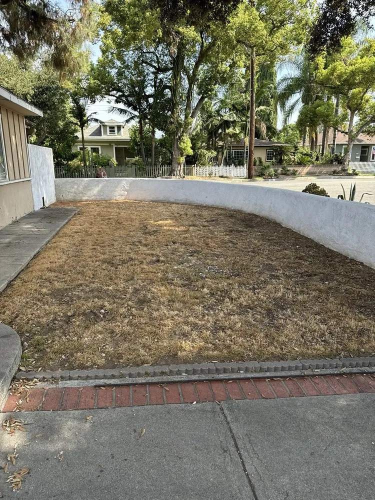 Expert residential landscaping for beautiful yards in Irvine, CA by Ruff n Tuff Turf