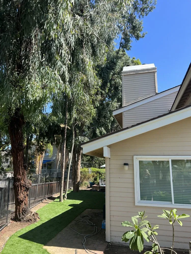 Affordable landscaping services in Irvine, CA - Ruff n Tuff Turf