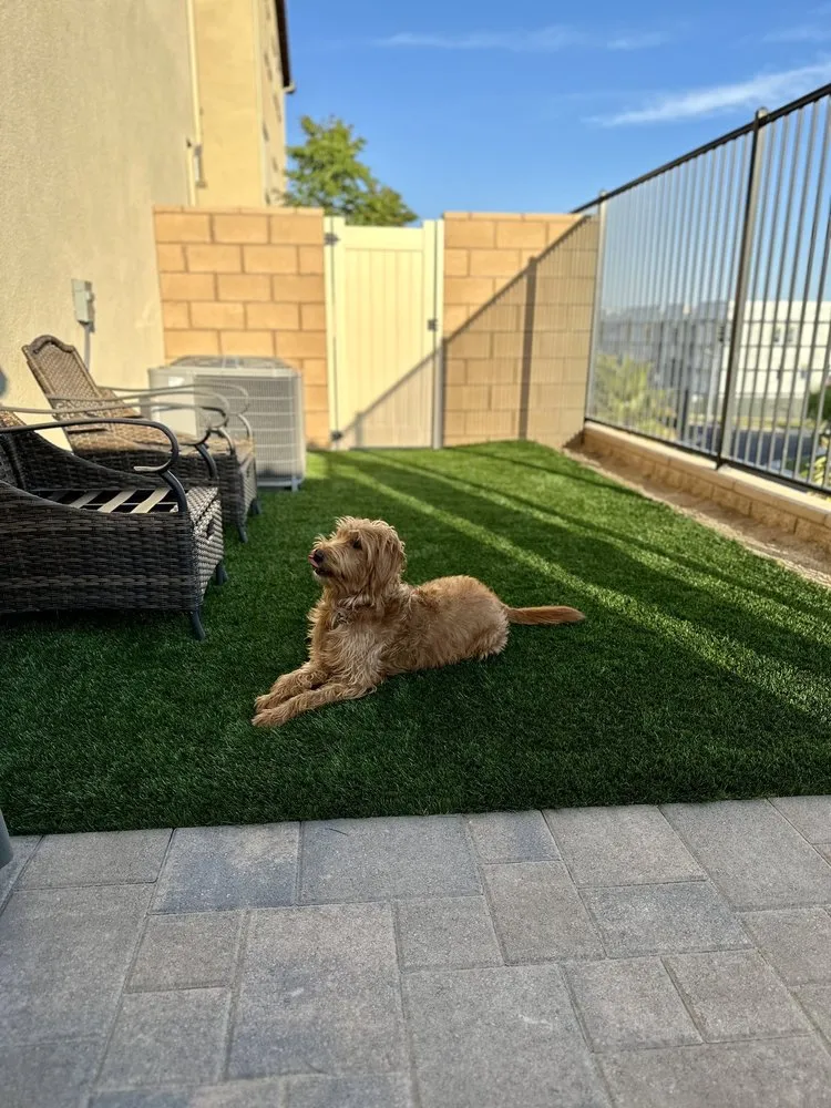 Expert yard maintenance for outdoor upgrades across Irvine, CA - Ruff n Tuff Turf