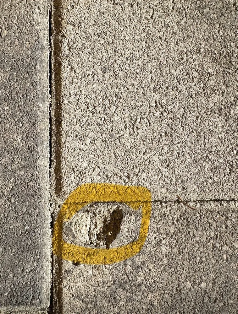 Custom landscape installation in Irvine, CA - Ruff n Tuff Turf