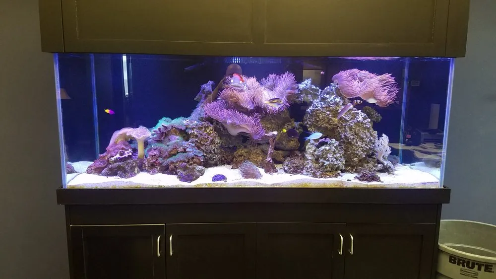 Custom lawn care service for residential properties in Omaha, NE by Ruff Waters