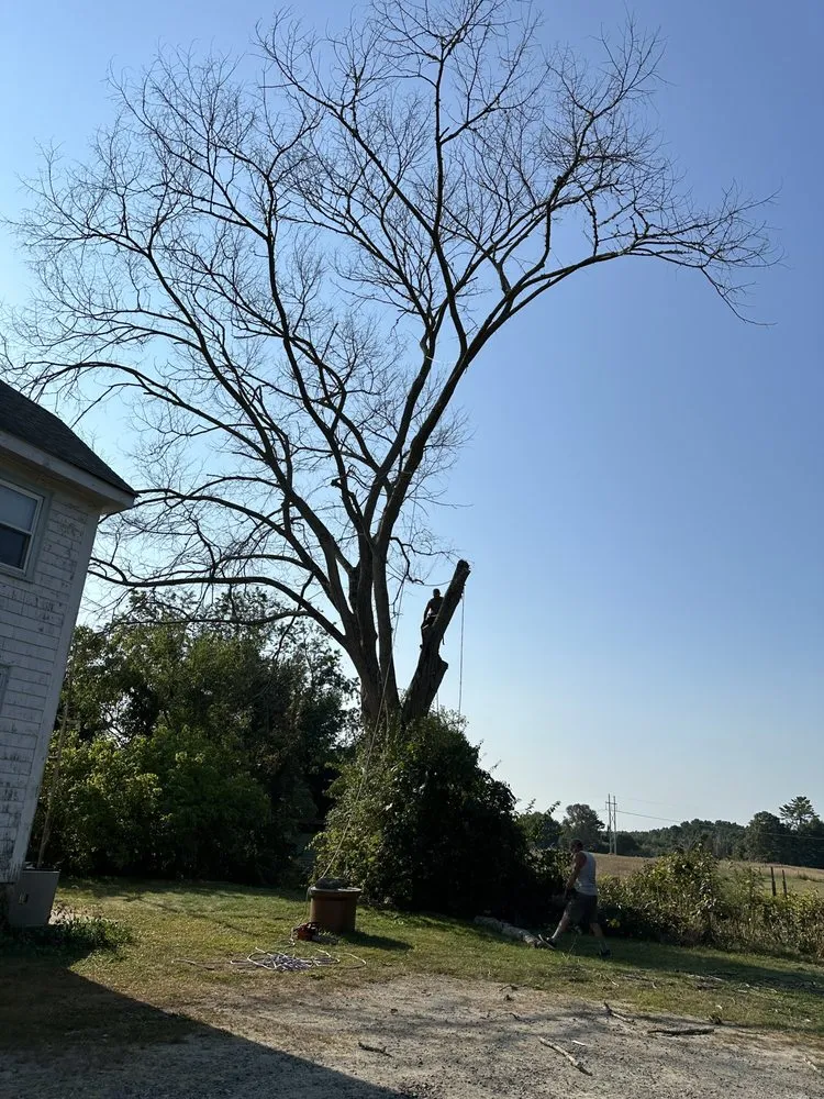 Affordable residential landscaping experts serving Dartmouth, MA - Ruffley Tree Service