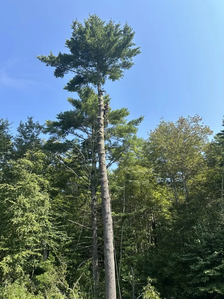 Professional garden landscaping in Dartmouth, MA by Ruffley Tree Service