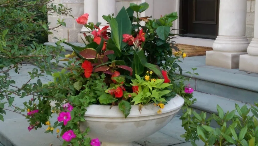 Expert yard cleanup service in Indian Creek, IL by Ruffolo Landscaping