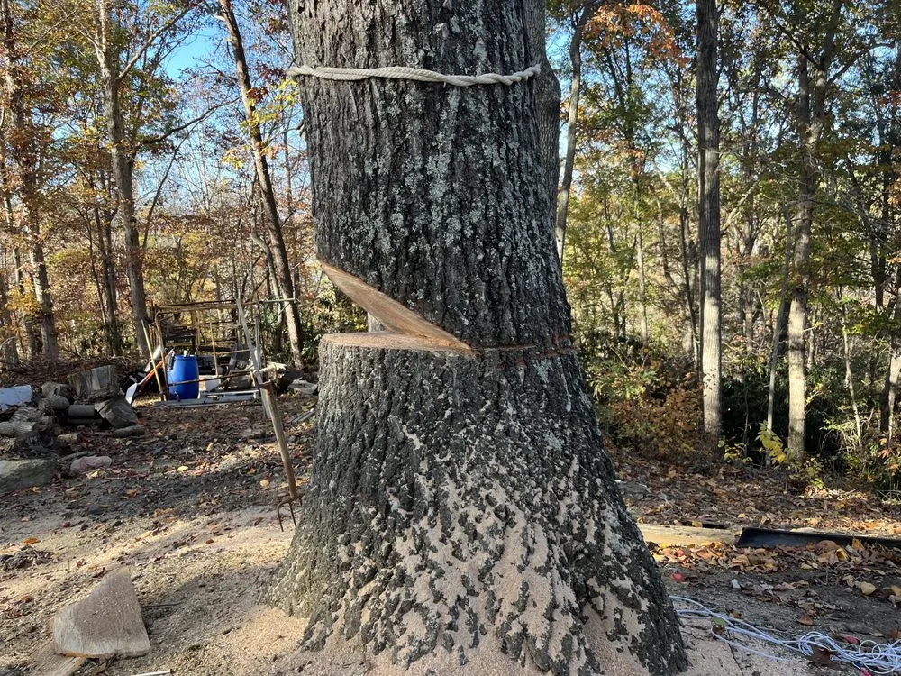Expert yard maintenance in Mill Spring, NC - Ruffs Custom