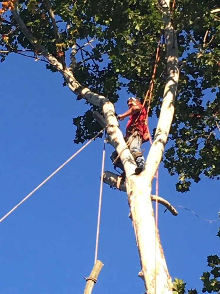 Reliable outdoor landscaping near you in Logan, OH by Ruff's Lawn & Tree Service