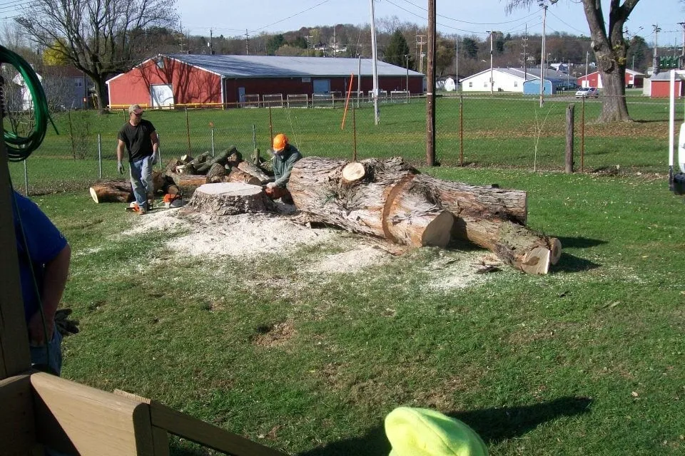 Expert lawn mowing service in Logan, OH by Ruff's Lawn & Tree Service