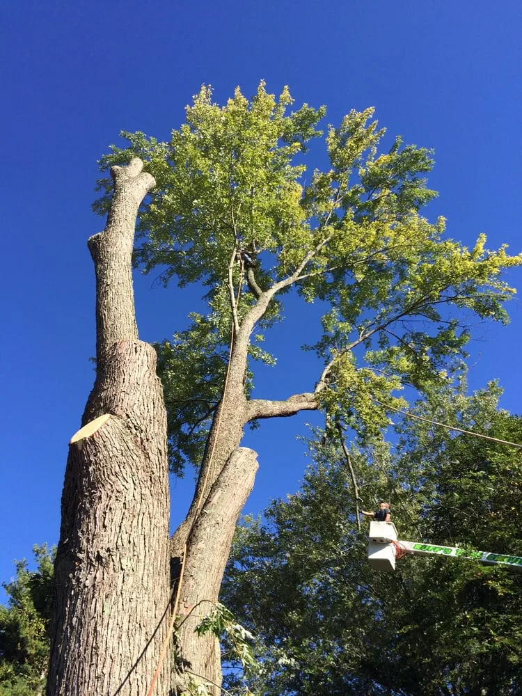 Trusted landscape installation experts serving Logan, OH - Ruff's Lawn & Tree Service