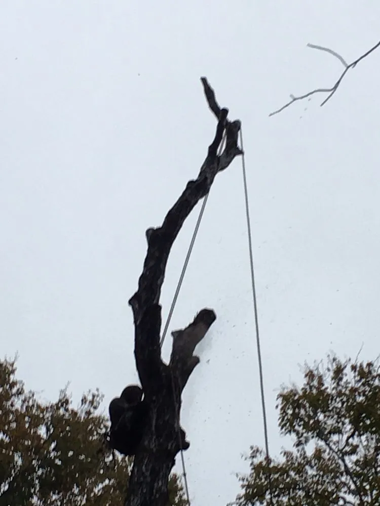 Local residential landscaping experts serving Logan, OH - Ruff's Lawn & Tree Service