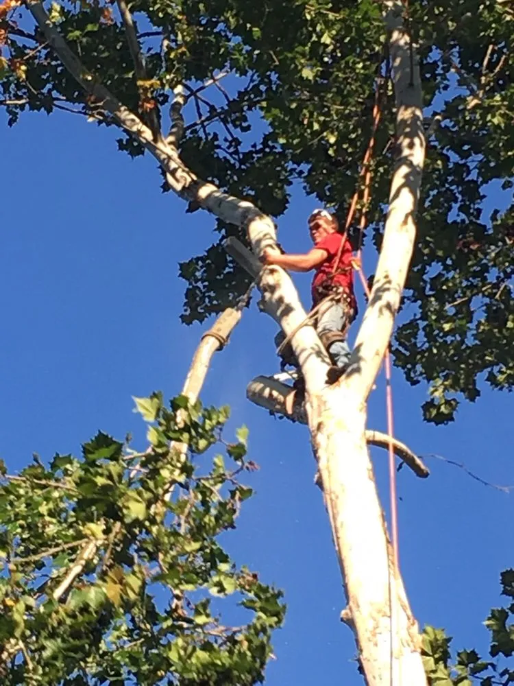 Trusted yard maintenance in Logan, OH by Ruff's Lawn & Tree Service