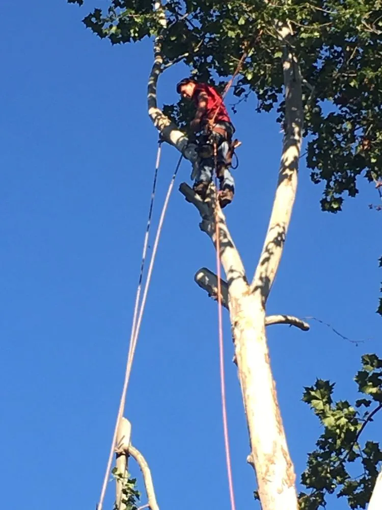 Reliable lawn mowing service near you across Logan, OH - Ruff's Lawn & Tree Service