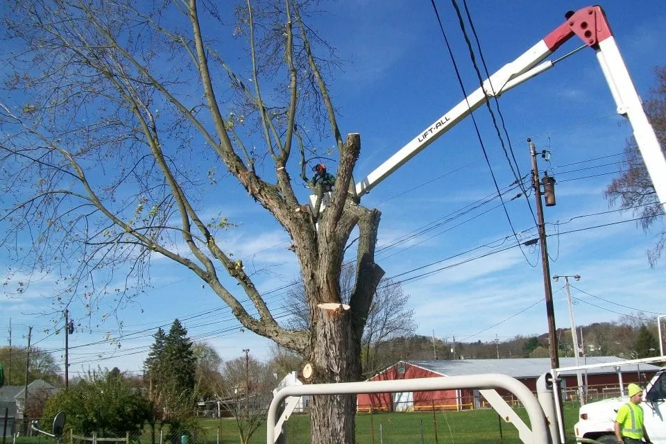 Trusted garden landscaping experts serving Logan, OH - Ruff's Lawn & Tree Service