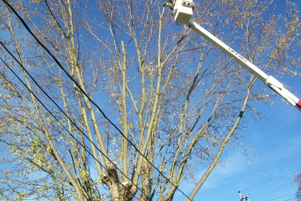 Top-rated garden landscaping in Logan, OH by Ruff's Lawn & Tree Service