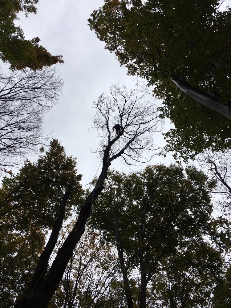 Professional landscaping services in Logan, OH - Ruff's Lawn & Tree Service