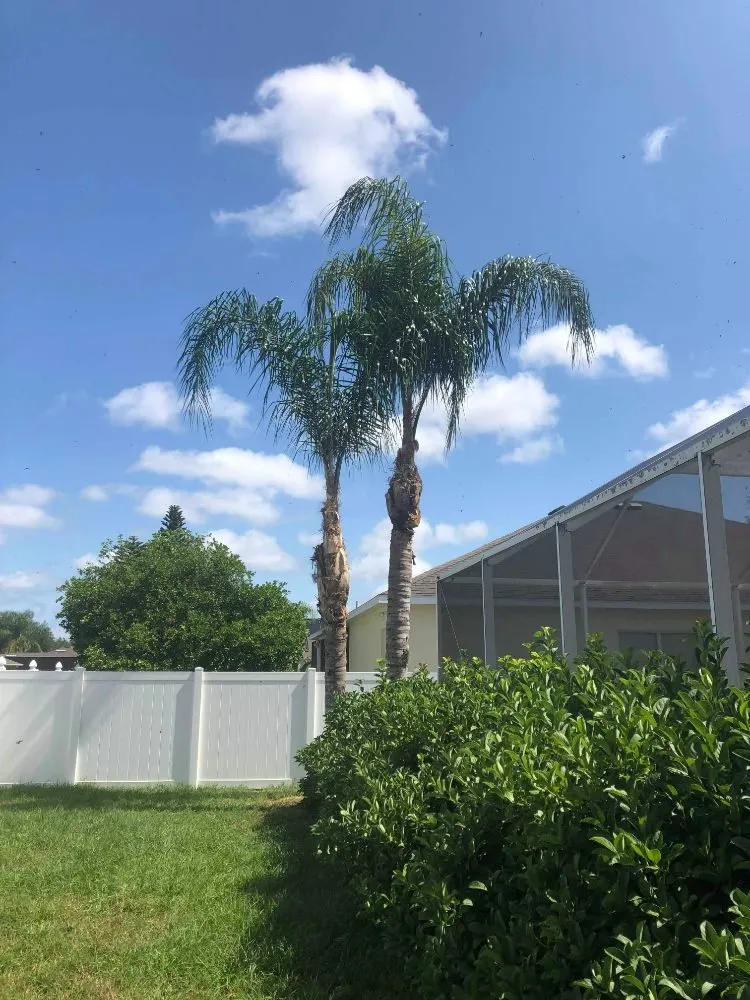 Local outdoor landscaping experts serving Gibsonton, FL - Rufino Lawn Care & Tree Service