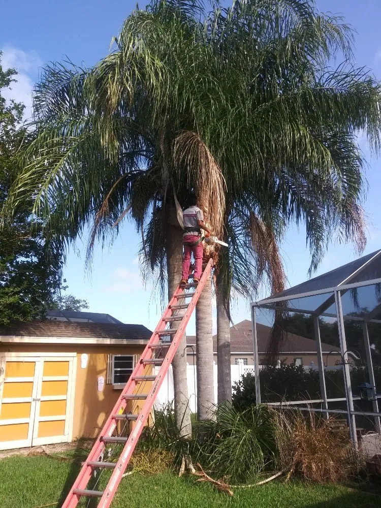 Expert lawn mowing service in Gibsonton, FL - Rufino Lawn Care & Tree Service