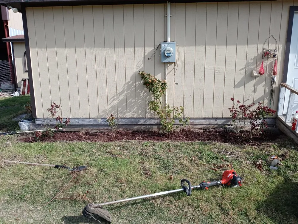 Expert yard cleanup service near you across Elsa, TX - Rufino Moreno