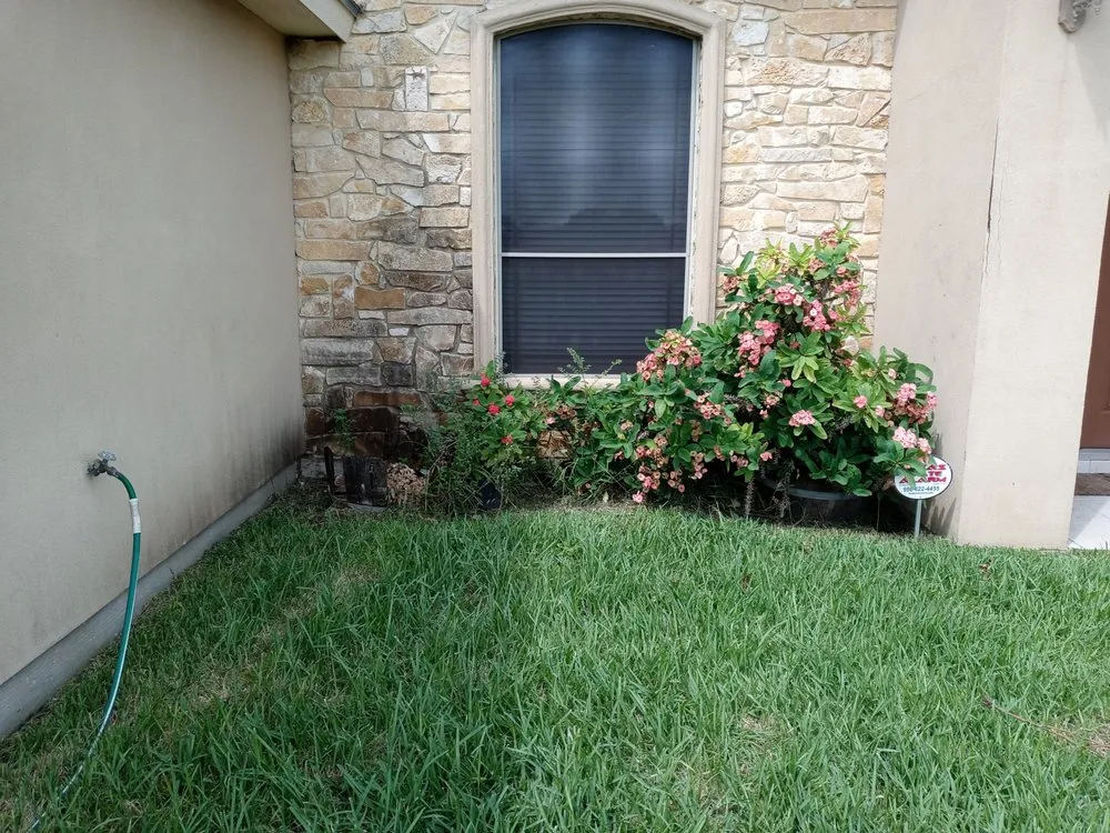 Affordable outdoor landscaping for beautiful yards across Elsa, TX - Rufino Moreno