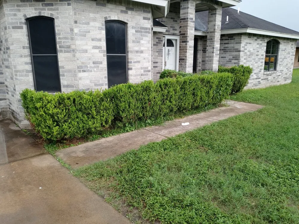 Reliable outdoor landscaping in Elsa, TX - Rufino Moreno