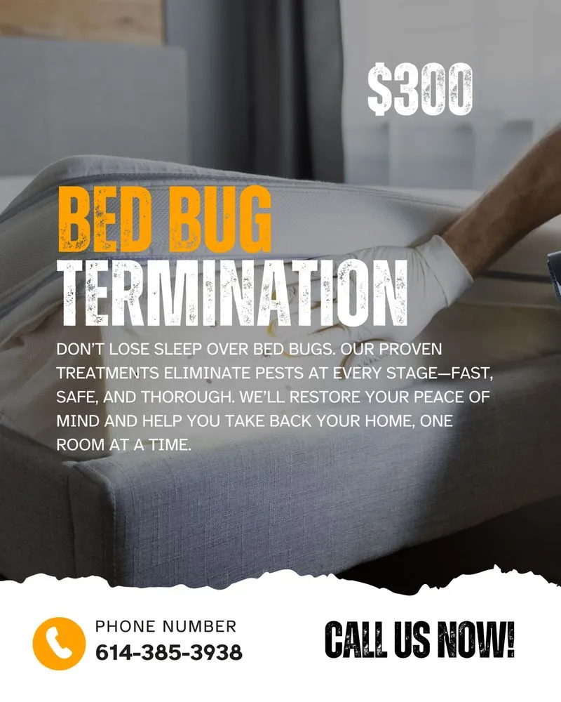 Custom landscape installation in Columbus, OH by Rufta