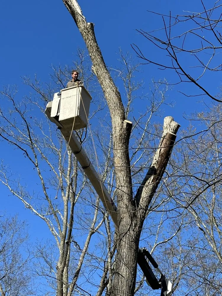 Expert lawn care service near you across Newburgh, NY - Ruger Landscaping