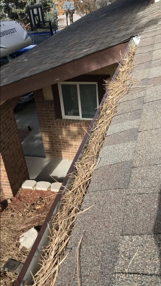 Expert landscape installation in Colorado Springs, CO by Rugged Cross Landscaping