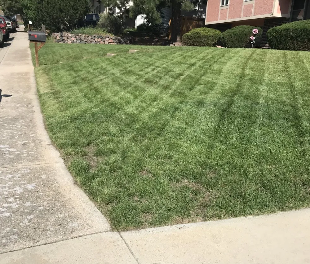 Professional landscape installation experts serving Colorado Springs, CO - Rugged Cross Landscaping