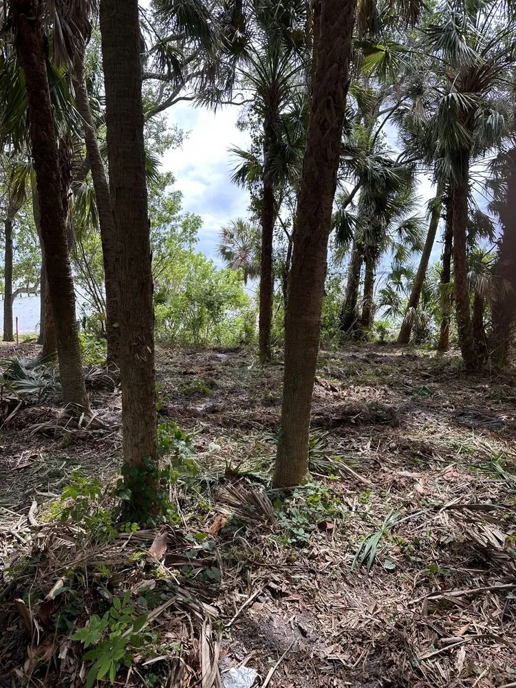 Trusted outdoor landscaping for outdoor upgrades across Melbourne, FL - Rugged Land Clearing