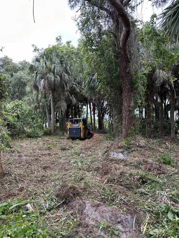 Top-rated residential landscaping in Melbourne, FL by Rugged Land Clearing