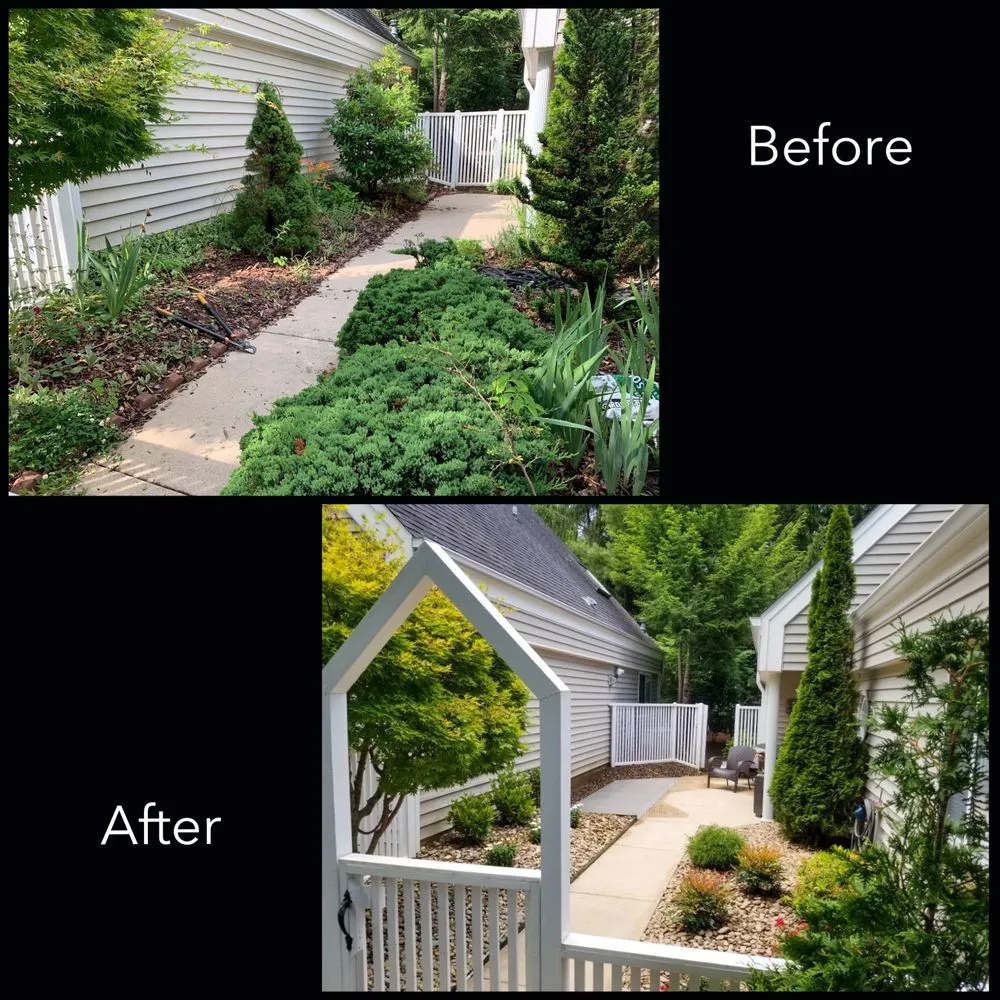 Expert yard cleanup service in Asheville, NC by Rugged Rock Landscaping