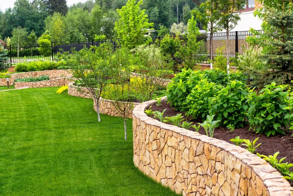 Professional yard maintenance near you across Asheville, NC - Rugged Rock Landscaping