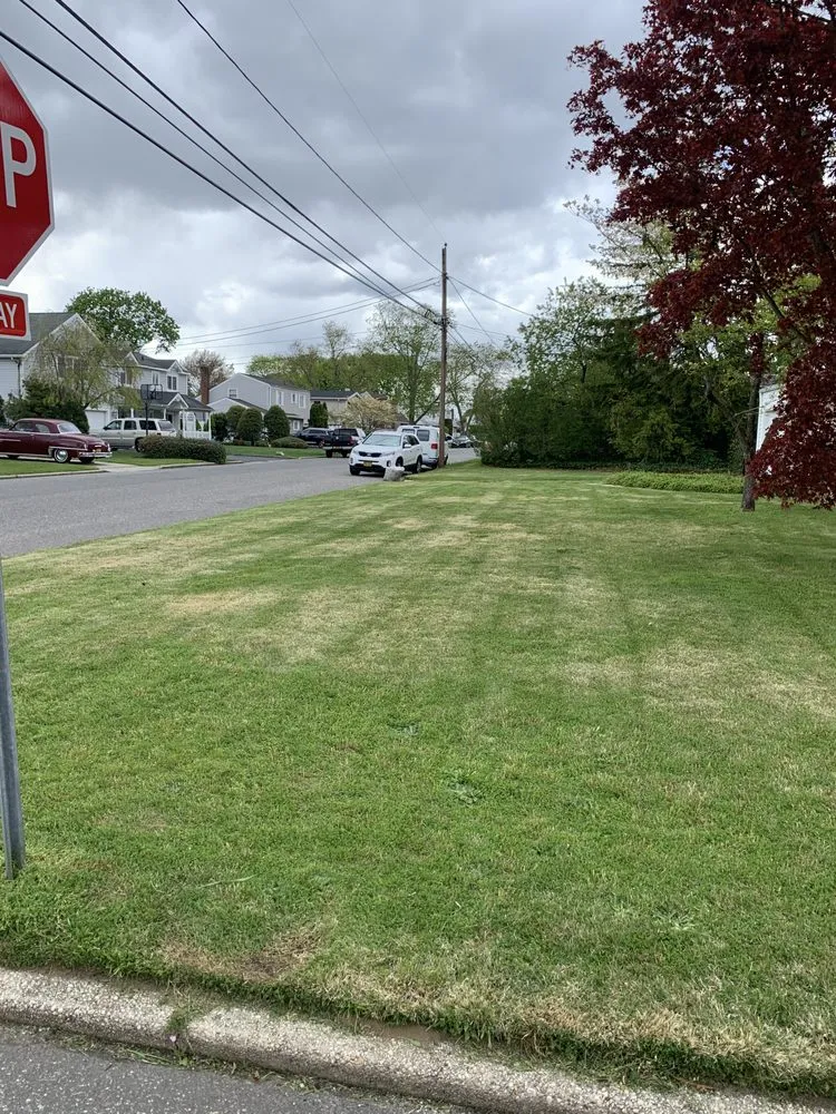 Custom yard cleanup service in Deer Park, NY by Ruggia Landscaping