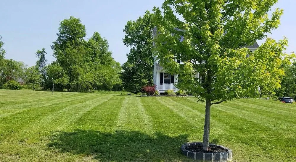 Affordable residential landscaping for beautiful yards across Walden, NY - Ruggiero Landscaping