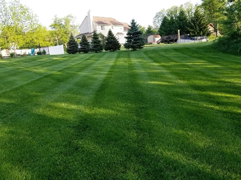Reliable yard maintenance experts serving Walden, NY - Ruggiero Landscaping