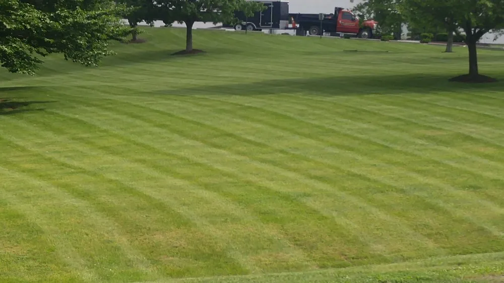 Expert lawn care service for year-round maintenance across Walden, NY - Ruggiero Landscaping