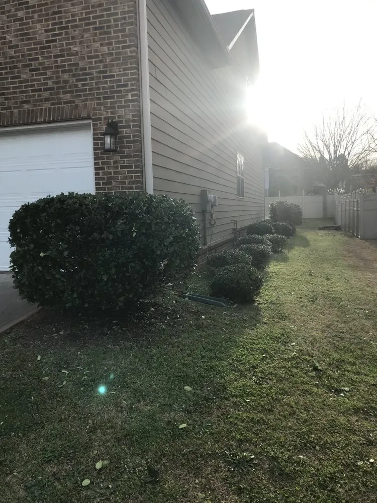 Reliable yard maintenance in Anderson, SC - Ruggles Lawn Care