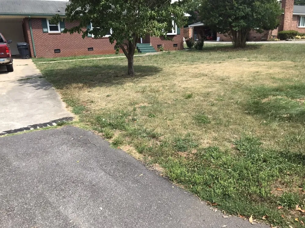 Professional landscaping services with custom design across Anderson, SC - Ruggles Lawn Care