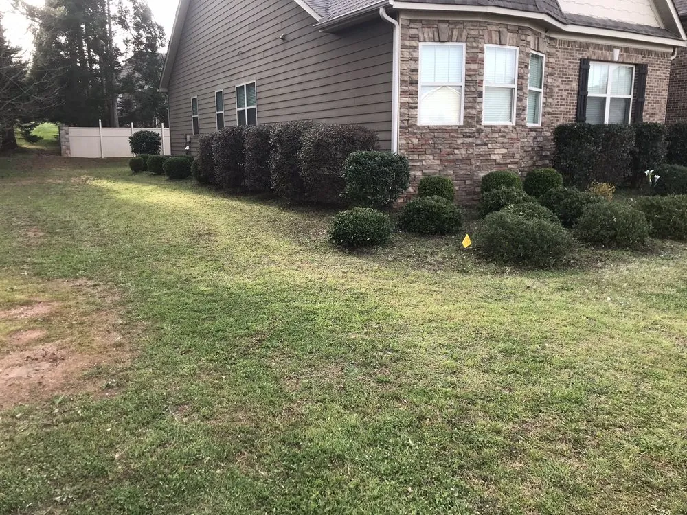 Affordable yard cleanup service in Anderson, SC - Ruggles Lawn Care