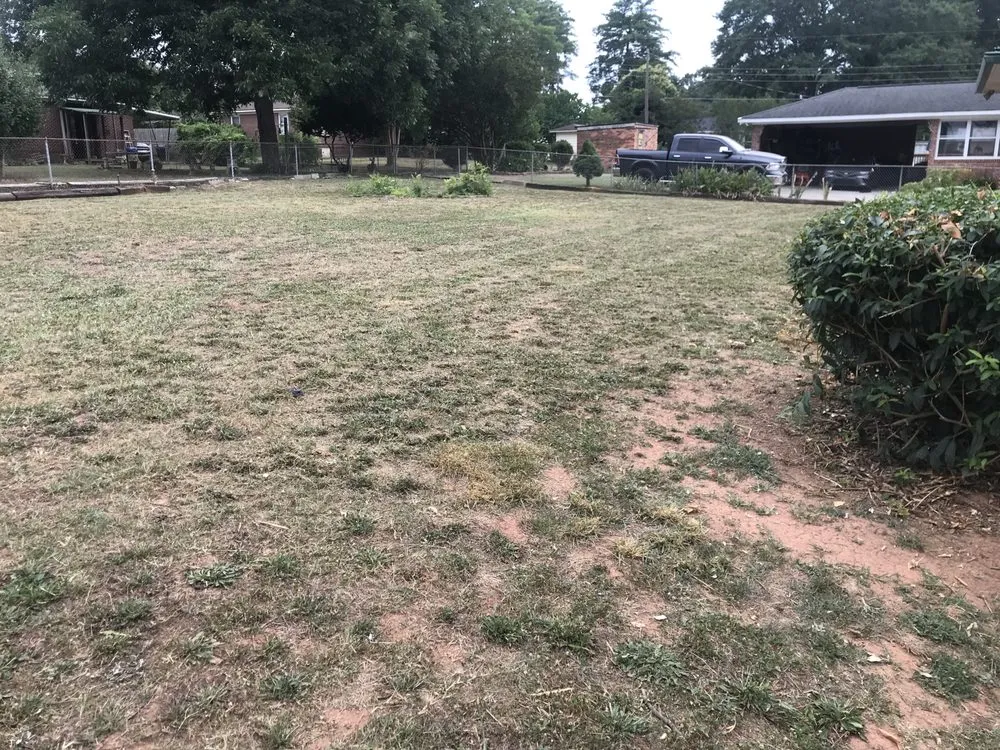 Top-rated garden landscaping experts serving Anderson, SC - Ruggles Lawn Care