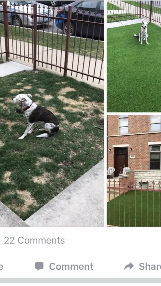 Local landscaping services with custom design across Chicago, IL - Rugzoom Synthetic Grass and Landscaping