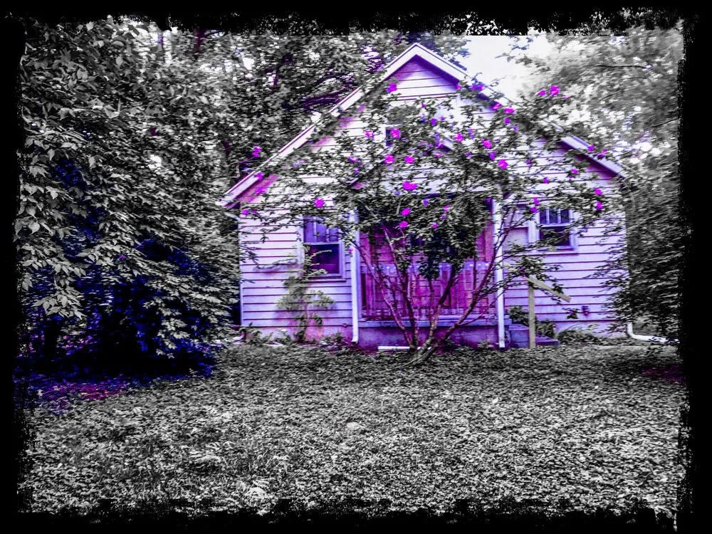 Custom yard cleanup service experts serving Camden, OH - Ruhltech Services