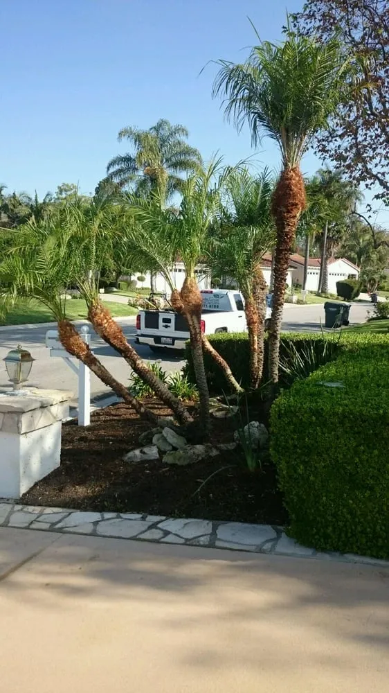 Reliable outdoor landscaping for residential properties across Torrance, CA - Ruiz Garden Service and Landscaping