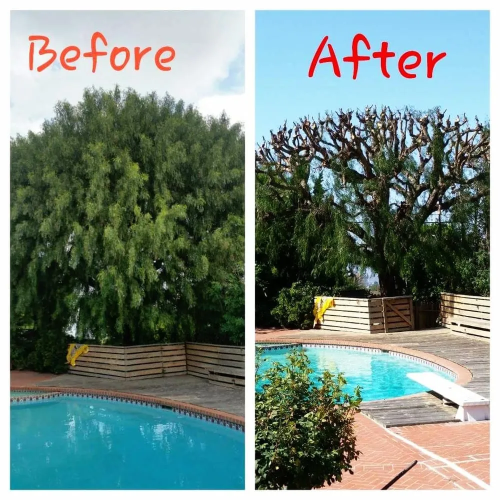 Affordable landscape design experts serving Torrance, CA - Ruiz Garden Service and Landscaping