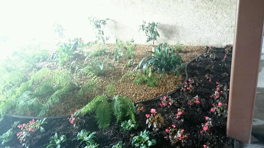 Trusted outdoor landscaping in Torrance, CA - Ruiz Garden Service and Landscaping