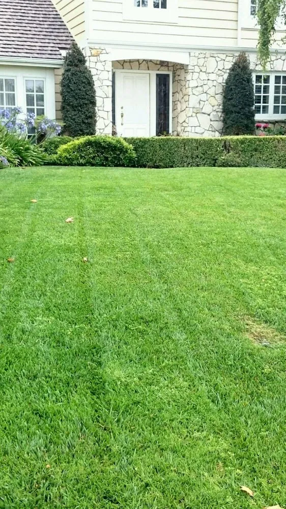 Top-rated landscape installation near you in Torrance, CA by Ruiz Garden Service and Landscaping