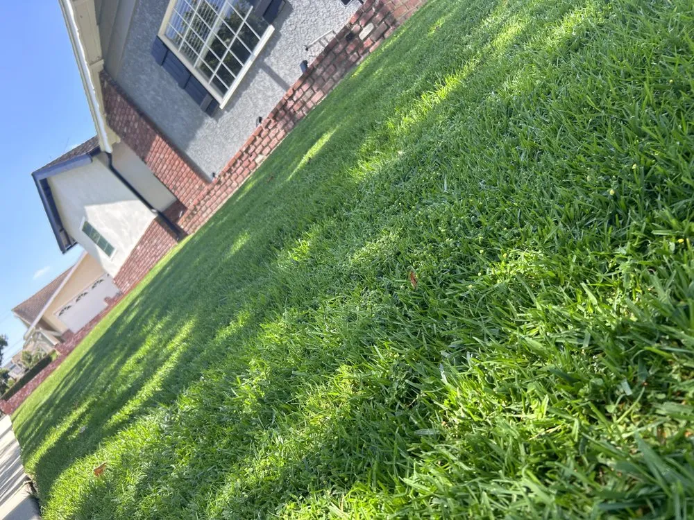 Reliable outdoor landscaping for homes across Carson, CA - Ruiz Garden Service