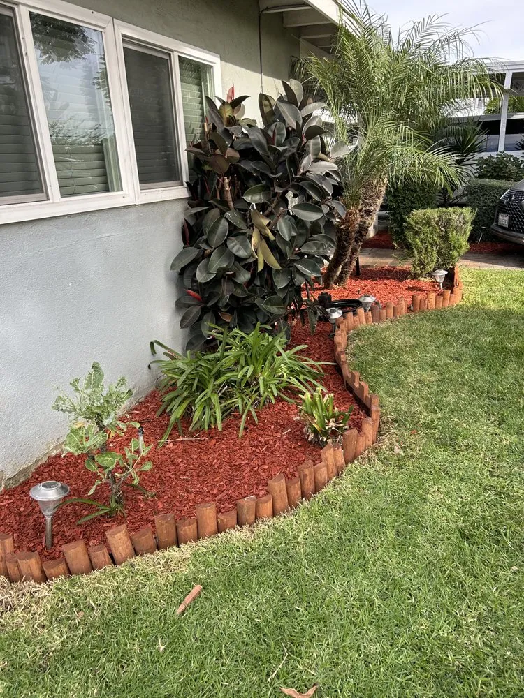 Professional yard cleanup service for homes in Carson, CA by Ruiz Garden Service